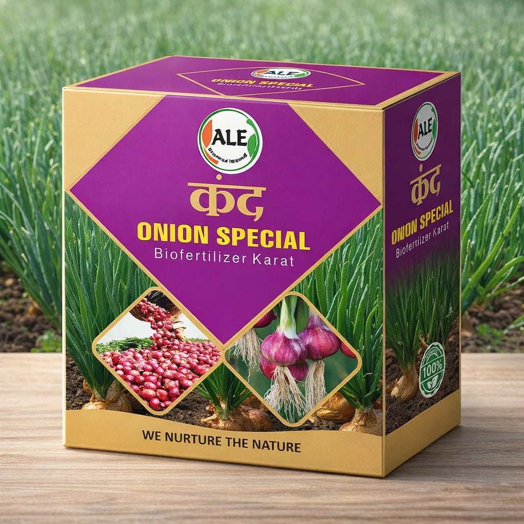 Onion Karat ( कंद )